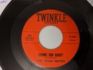 The Team Mates: Come On Baby/In My Dreams 45 Twinkle Records Doo Wop