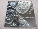 The Sundays - Reading, Writing and Arithmetic - Picture Disc LP Rough Trade 1990