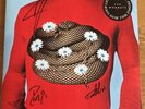 The Wombats Beautiful People Will Ruin Your Life Signed Clear Vinyl Limited LP