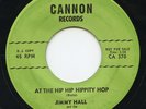 Hear - Rare Rock 'n Roll / Doo Wop 45 - Jimmy Hall - At The Hip Hip Hippity Hop