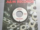 The Dickies - Nights In White Satin USA A&M 1979 Promotional 7