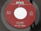 THE NEW BREED It's Love / Wasting My Time 45 - Orig Polaris 711 GARAGE ROCK 1966