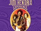 JIMI HENDRIX 8 LP 180 Gram Vinyl Box Set NUMBERED + 40 Page Book Factory SEALED