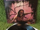 ENGLISH DOGS METALMORPHOSIS 1986 •1st press• UK RARE thrash punk hardcore metal