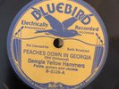 20s COUNTRY GEORGIA YELLOW HAMMER Bb 5126 Peaches Down in Ga/White Lightning E