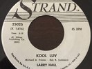 RARE Teen / Rockabilly (45) LARRY HALL 