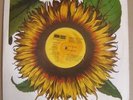 EL TURRONERO new hondo LP BELTER 1980ºSPANISH COSMIC DISCO GYPSY FUNKºACHILIFUNK