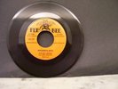65.0069.0069.006doo wop 45 records Del Vikings/ Whispering Bells/Don't Be A Fool