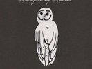 TRAMPLED BY TURTLES-PALOMINO  (US IMPORT)  VINYL LP NEW