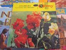 ANAMELBA JULIO JARAMILLO LATIN LP PERU 60'S 