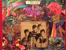 FLEETWOOD FCLP 3027 / WALEECO / FLAT EARTH SOCIETY BAND US PSYCH LP