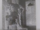 B Z – Arson Around With Matches Vinyl LP Oi Punk Skin Hardcore