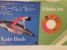 Kate Bush 7