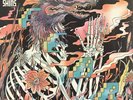LOS LOBOS Vs. THE SHINS The Fear 12