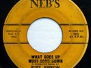 RUBY JOHNSON 45 What Goes Up Must Come Down/I Want a Real Man NEB'S soul ak264