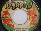 BRIGHT WYNTER - WORDS OF FIRE - FULFILMENT OF PROPHECY ( ROOTS 7 )