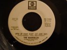 The Mamselles Northern Soul 45 on ABC 