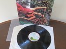 Roxy Music - Stranded LP - SUPERB Nr Mint 1st UK Pressing Vinyl - World Shipping