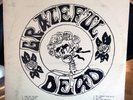 THE Grateful Dead 