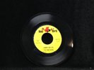 The Trade Winds-Party Starts At Nine/Summertime Girl-Red Bird 033-DOO WOP RARE