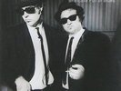 The Blues Brothers - Briefcase Full of Blues - 180g Vinyl LP MOVLP1248