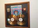 Grateful Dead Skull & Roses 2xLP 24K Gold Plated Award Set Million Seller Status