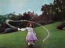 TREES ON THE SHORE LP VINYL 33RPM NEW
