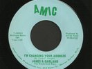 Michigan Bluegrass 45   James & Garland   Amic   Listen