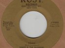 Randy and the Rainbows NM *stereo* 45 rpm 