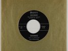 Rock & Roll Inst. 45 - Premiers - Shawnee/Orbit Bound - Squire - VG++ mp3 rare