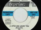 Teen Popcorn 45 - Jimmy Griffin - A Little Like Lovin' You - Reprise - mp3