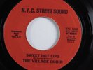 70s Soul 45 VILLAGE CHOIR Sweet Hot Lips N.Y.C. STREET SOUND VG+ HEAR