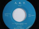 Modern Sweet Soul 45 MYSTIC I'll Never Forget You A.R.T. VG++ HEAR