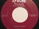 CROOK JR WIGGLE IT BABY - PLEASE BELIEVE ME DARLING ON APACHE CRESTVIEW FLORIDA