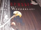 erasure wonderland promo japan vinyl obi