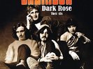 BRAINBOX - Dark Rose: Their 45s - 2 LP Pseudonym
