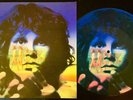 THE DOORS - PICTURE DISC - LIMITED EDITION - LIGHT MY FIRE -NEAR MINT CONDITION