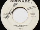 TRIBE Funky Kingston GRENADE REGGAE FUNK PROMO WLP 45 Hear