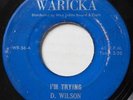 DELROY WILSON I’m Trying WARICKA REGGAE SIR COLLINS 45 Hear