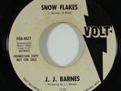 J.J. Barnes 