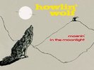 HOWLIN WOLF-Moanin In The Moonlight  VINYL NEW