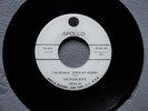 The Poor Boys..I'M GONNA SPEND MY MONEY..R&B Rock 'n' Roller Promo APOLLO 45 '55