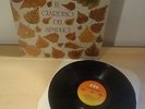 IL GIARDINO DEI SEMPLICI : IL GIARDINO DEI SEMPLICI    -    LP  1975