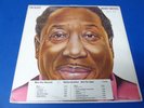 MUDDY WATERS  I'm ready  BLUE SKY 34928 WLP 1978 PROMO w/ Title Strip
