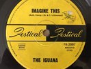 The Iguana - Imagine This - OZ 1967 Festival 7