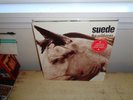 Suede The Wild Ones UK 12