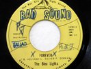 BLEU LIGHTS 45 Forever / They don't know my heart BAY SOUND VG++ Doowop D2335