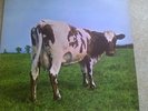 Pink Floyd. Atom Heart Mother. Original LP Harvest 1970. Original SHVL 781.