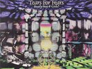 TEARS FOR FEARS READY BOYS & GIRLS 10 INCH LP VINYL NEW (US)