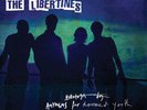 LIBERTINES   ANTHEM FOR DOOMED YOUTH   VINYL LP plus DIGITAL DOWNLOAD   *NEW*